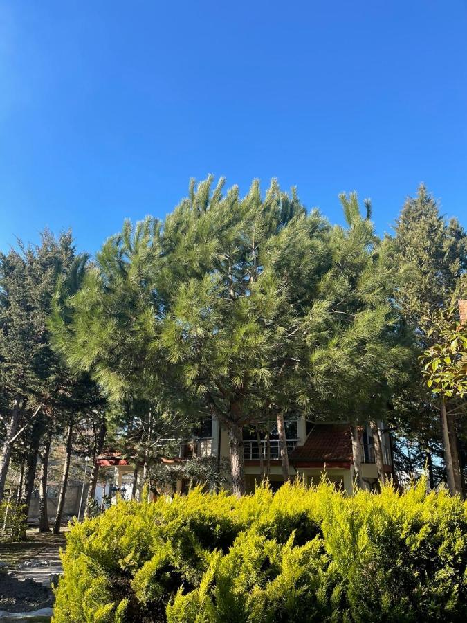 Hotel Garden Villa Ardo Golem  Dış mekan fotoğraf