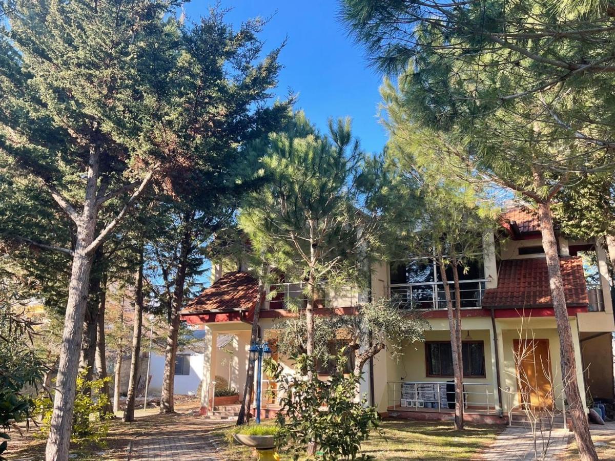 Hotel Garden Villa Ardo Golem  Dış mekan fotoğraf