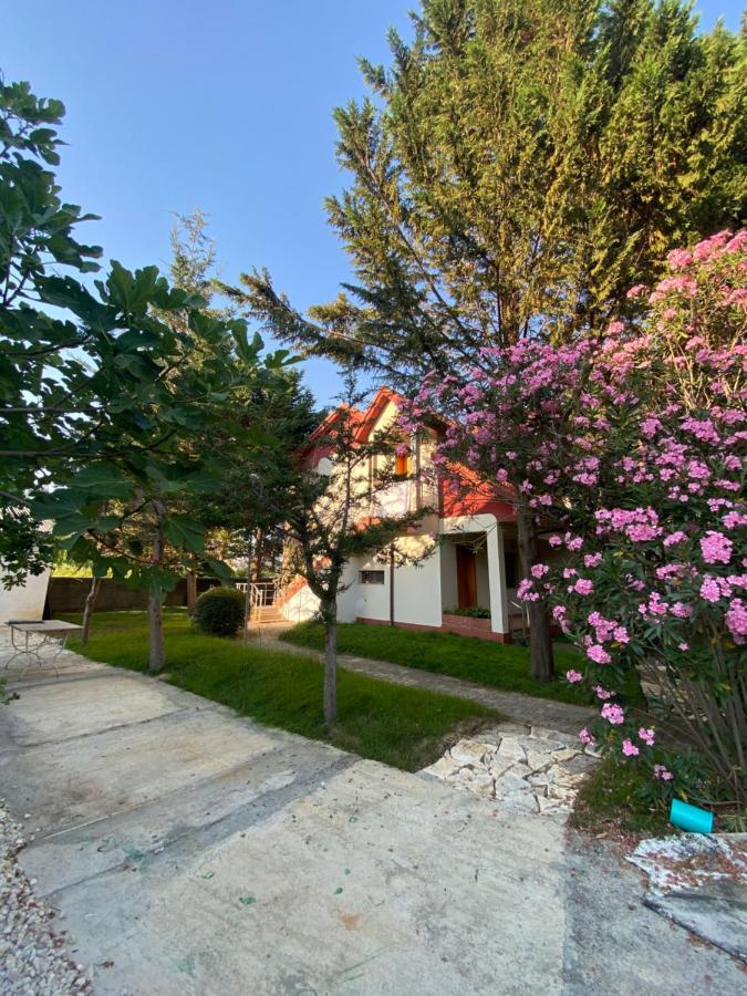 Hotel Garden Villa Ardo Golem  Dış mekan fotoğraf